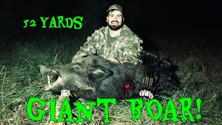 Bowhunting Texas Hogs | Giant Boar!