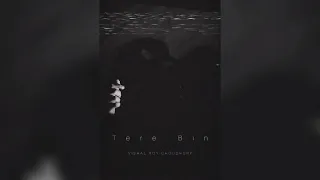 Tere Binn (Official Music Video) | Vishal Roy Choudhury