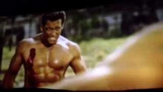 Jai Ho Movie | Salman Khan's Shirtless Scene