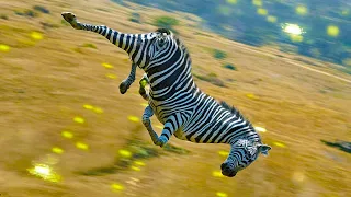 ZEBRA Fireworks Ragdoll in Red Dead Redemption 2 PC 4K 60fps