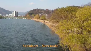 슈베르트(Schubert)-세레나데(Serenade) [1h Repeat]