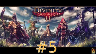 Прохождение Divinity: Original Sin 2 №5. Замес с крокодилами (сложность Тактика)