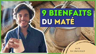 9 BIENFAITS REMARQUABLES DU MATÉ sur la santé (#superaliment)