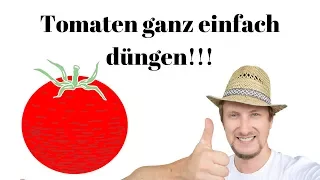 Fertilize tomatoes properly 🍅 My simple guide!