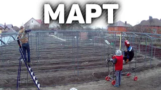 План работ на винограднике в марте