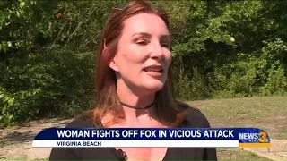 Woman fights off rabid fox in Virginia Beach attack