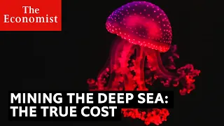 Mining the deep sea: the true cost to the planet