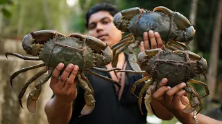 Monster Sized Crab Barbeque | Raw Crab Eating | Green Mango Mud Crab |