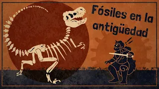¿Los fósiles inspiraron la mitología griega? | Archivo mitológico |