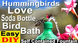 How To Make Hummingbird ENDLESS Water Fountain 🐦 LOVED Bird Bath EASY Solar Powered TOTALLY PORTABLE