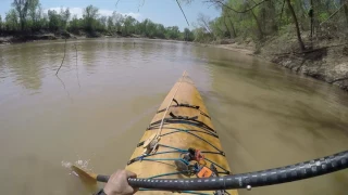 Alligator gar hits kayak 3-26-17