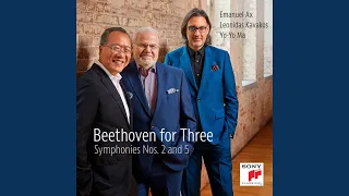 Symphony No. 5 in C Minor, Op. 67: IV. Allegro