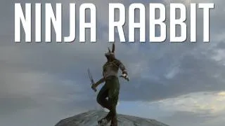 Ninja Rabbit kicks ass! (Overgrowth Alpha)