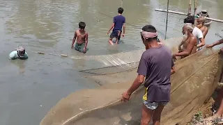 net fishing in village| Big Fishes hunting | Hunting & Fishing | Greatest Fishing Videos of All Time