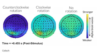 Brain waves suggest people can sense Earth’s magnetic field | Science News