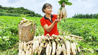 Harvesting White Radish Garden Goes To Market Sell - Goat Herding Boy | New Free Bushcraft