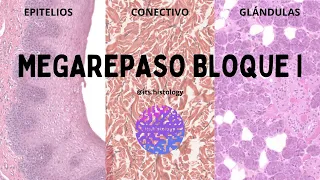 MEGAREPASO BLOQUE I 2023 - its.histology