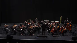 Valse Triste / Jean Sibelius conductor Samuel Gal Alterovich תזמורת כלי הקשת הייצוגית