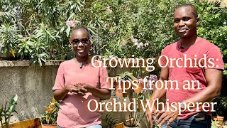 Growing orchids in Nigeria: Get best tips about substrates and feeding from an orchid whisperer