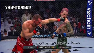 ВЫРУБИЛ С УДАРА! Полный Бой Петр Ян VS Шон О' Мэлли на UFC 280 / Разбор Техники и Прогноз