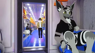 You turned into a furry on the train