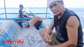YAMAN NG KARAGATAN DITO SA TABLAS ROMBLON .eliw flyingfish