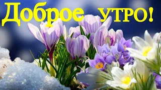 Доброе утро! Где-то под снегом дышит Весна! Музыкальная открытка. Весна – сколько надежд и мечтаний!