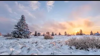 В тихую ночь..песня