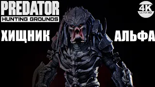 Predator Hunting Grounds🔺БЛИЖНИЙ БОЙ! АЛЬФА - ПРИЗРАК! PREDATOR - GHOST! Патч 2.39🔺4K