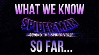 Everything We Know So Far On Spider-Man: Beyond The SpiderVerse…