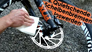 Quietschende Scheibenbremsen?! - So solltest du vorgehen!