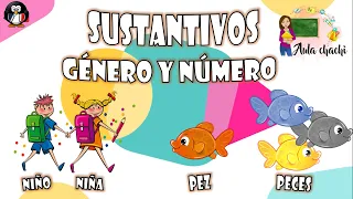 Sustantivos | Género y Número | Aula chachi - Vídeos educativos para niños