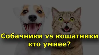 Собачники vs кошатники: ученые выяснили, кто умнее?