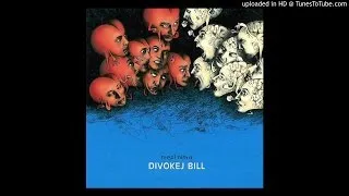 04.Divokej Bill - Malování