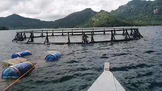 installing a mooring for circular cage