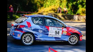 Olivier BABEF & Dimitri PARVEDY SHOWTIME 206 1er F2013 Rallye Sud Sauvage 2022