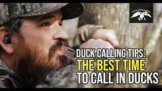 The Best Time to Call In Ducks | Duck Calling Tips