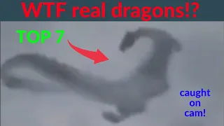 Real Dragons caught on tape / Top 7