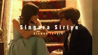 Singara Siriye ( Slowed + Reverb ) | Soul Vibez