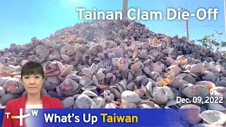 Tainan Clam Die-Off, News at 08:00, December 9, 2022 | TaiwanPlus News