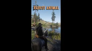 Rdr 2 - Hardest animal to find in the game #shorts