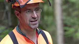 Schwierige Fällung - Königsbronner-Anschlagstechnik | Tutorial der Bayerischen Staatsforsten