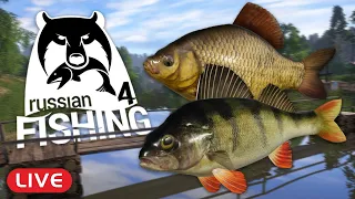 It's time to FILL SOME ORDERS! Winding Rivulet & Mosquito Lake! l Russian Fishing 4