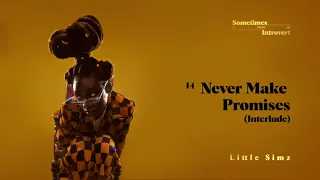 Little Simz - Never Make Promises (Interlude) [Official Audio]