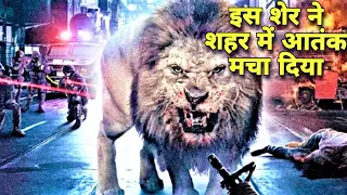 Uncaged Lion Fight||Full Movie Explained In Hindi||Hollywood Latest New Hindi Dubbed Full Movie||