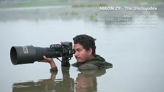 NIKON Z9 and 100-400mm Wildlife Short Video  #UNSTOPPABLE