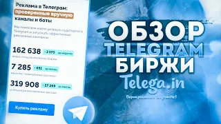 Продвижение в Телеграм каналах | Как пользоваться биржей рекламы Телега.ин