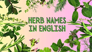 🌿 Herb Names in English! Fun & Easy to Follow! Interesting Facts! #herbs #herbnames #learnenglish