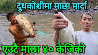 नेपालकै धेरै माछा पाउने दुधकोशीमा जालमै यतिधेरै माछा | एउटै माछा ४० केजि | amazing fishing in nepal