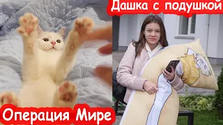 VLOG Делаю Мире операцию. Забрали девочек с ночёвки